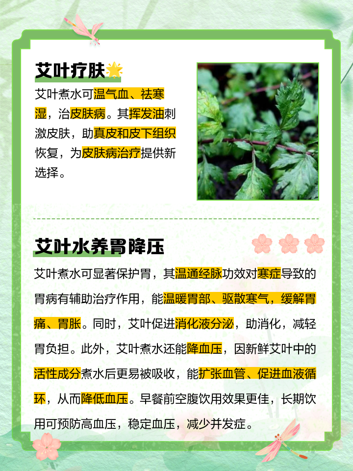 艾叶生姜茶的功效(艾叶生姜茶的功效与作用及禁忌) 艾叶生姜茶的功效(艾叶生姜茶的功效与作用及禁忌)