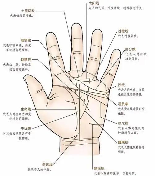双手断掌的男人命运好不好(双手断掌的男人命运好不好图片)