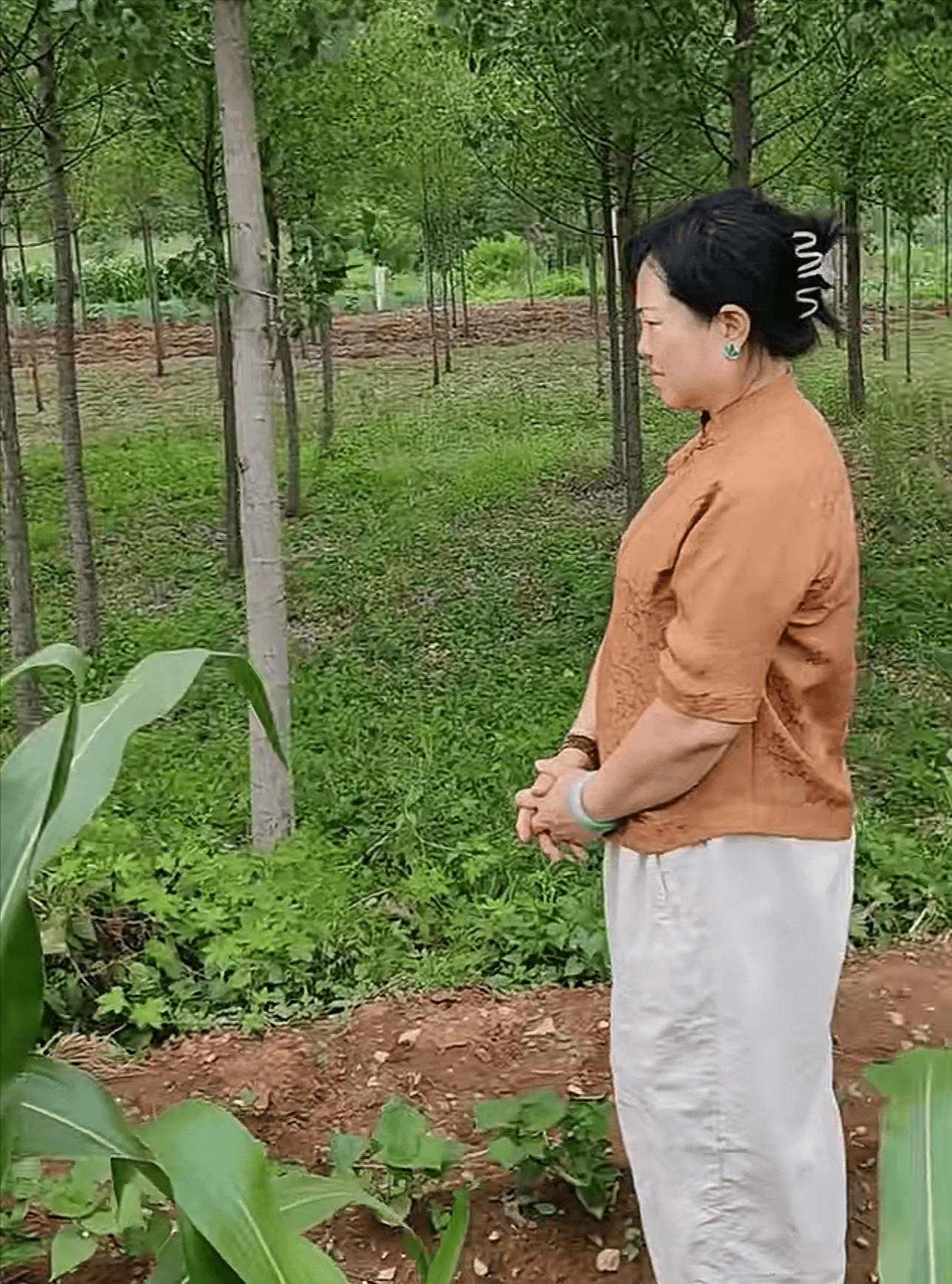 唐歌个人简介(丁海峰唐歌个人简介)