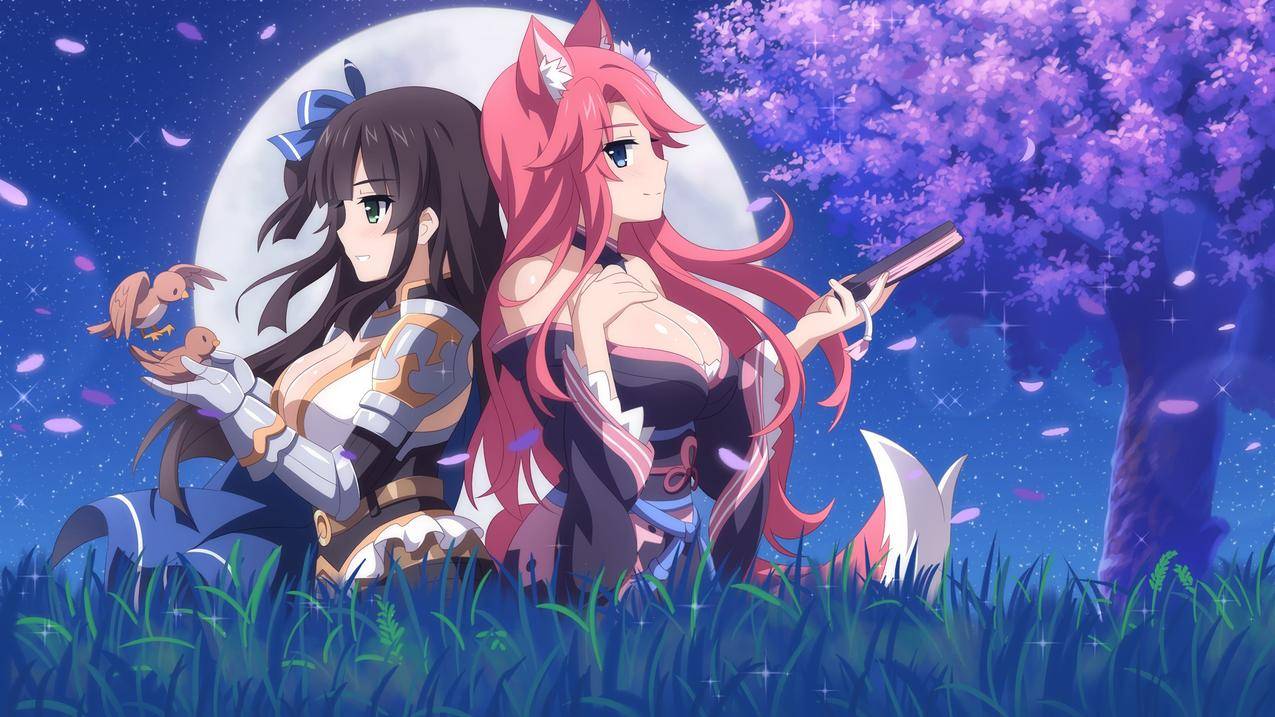 星星动漫网官网(星星动漫官方下载)