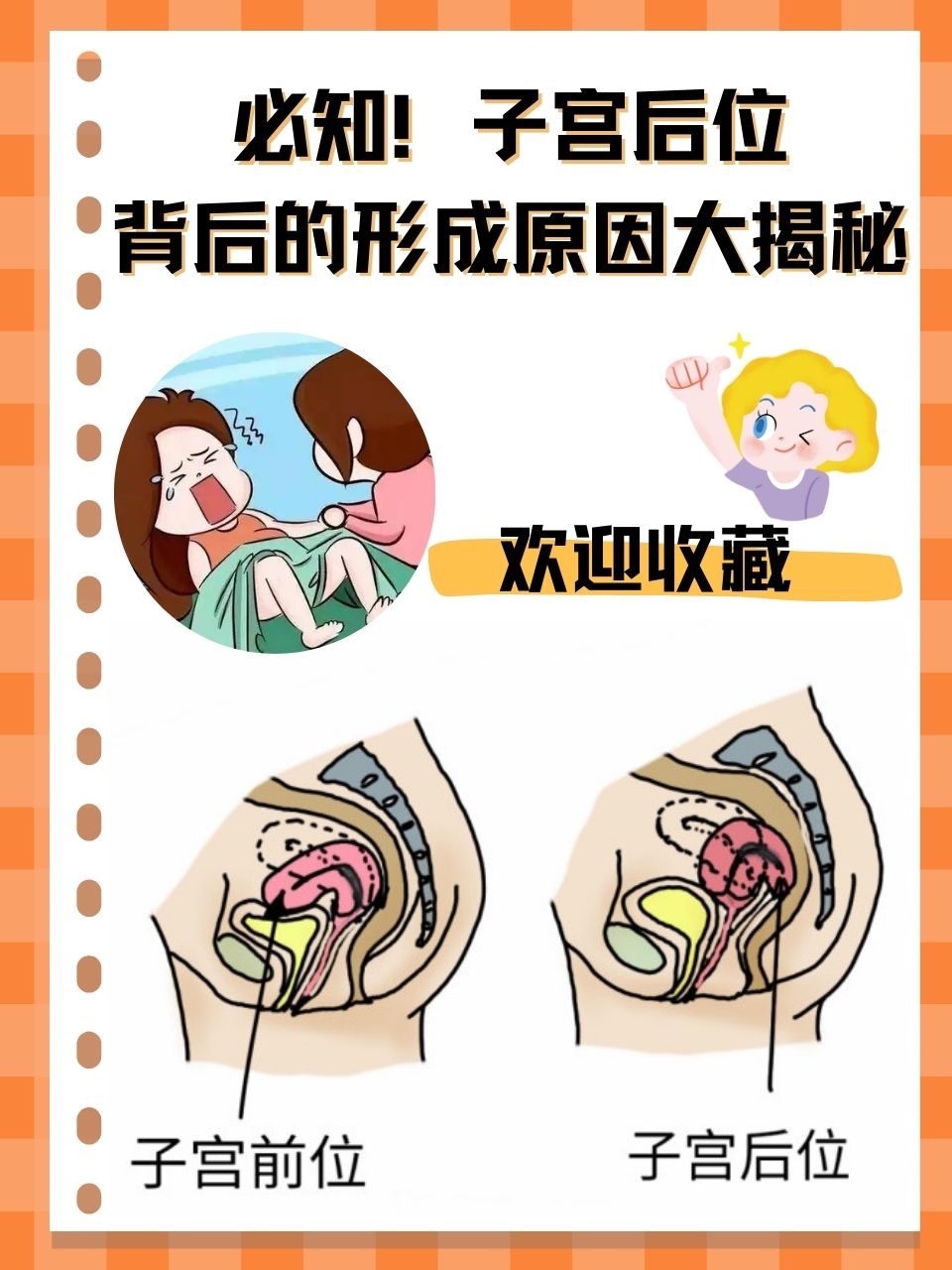 lower是什么意思(英文flower是什么意思)