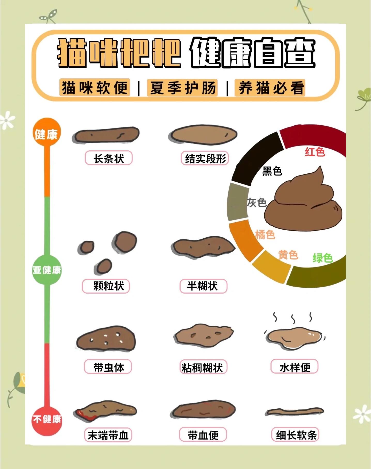 猫咪拉屎不成形是什么原因(猫咪拉屎不成形是什么原因引起的) 猫咪拉屎不成形是什么原因(猫咪拉屎不成形是什么原因引起的)