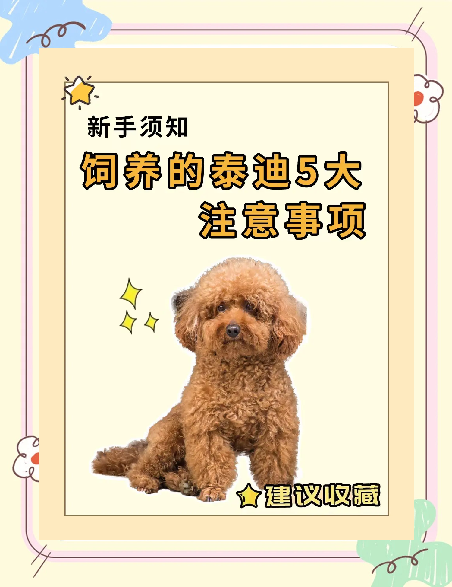 泰迪能活多久寿命多长(泰迪犬能活多久?5招延长寿命!)