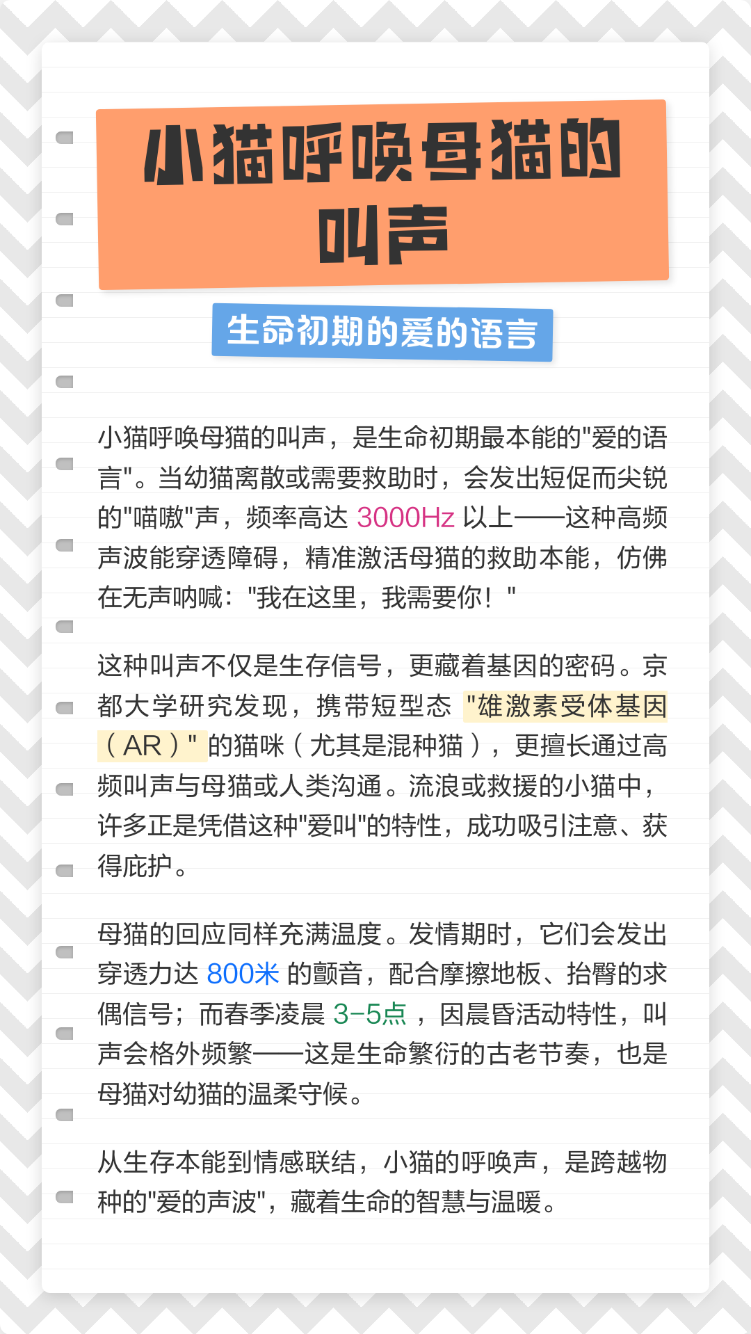 母猫叫声唤小猫(母猫叫声唤小猫吃饭的叫)
