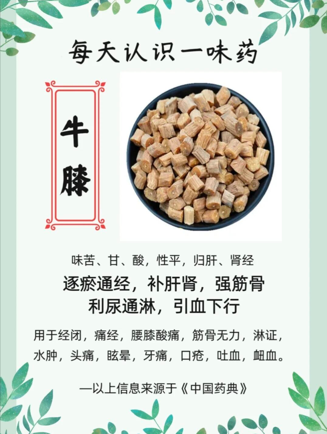 牛膝的用量(牛膝的用量30克治什么病) 牛膝的用量(牛膝的用量30克治什么病)