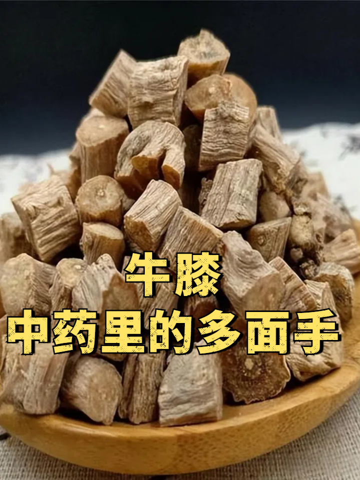 牛膝的用量(牛膝的用量30克治什么病) 牛膝的用量(牛膝的用量30克治什么病)