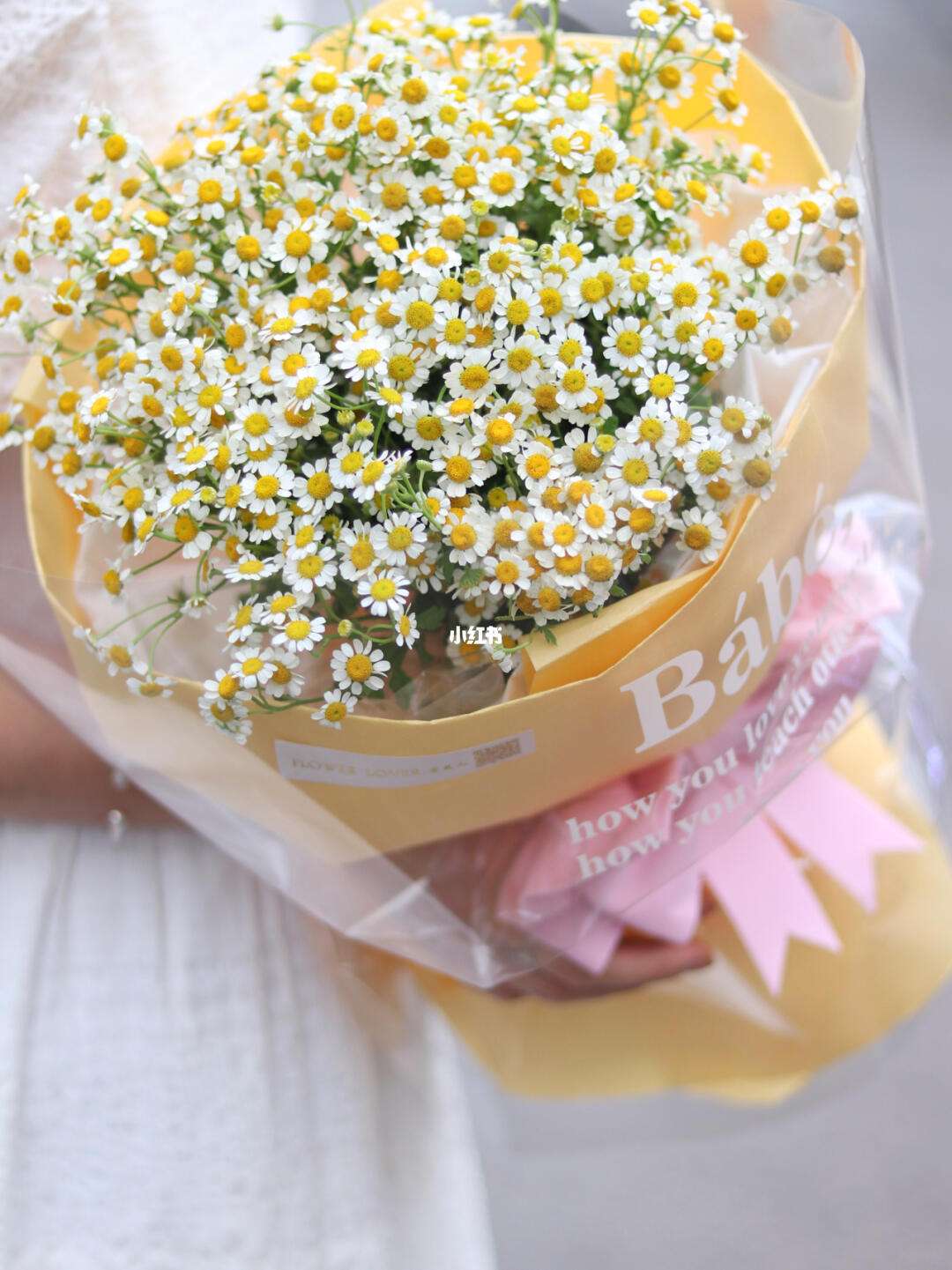 洋甘菊花适合送给什么人(洋甘菊花适合送给什么人呢)