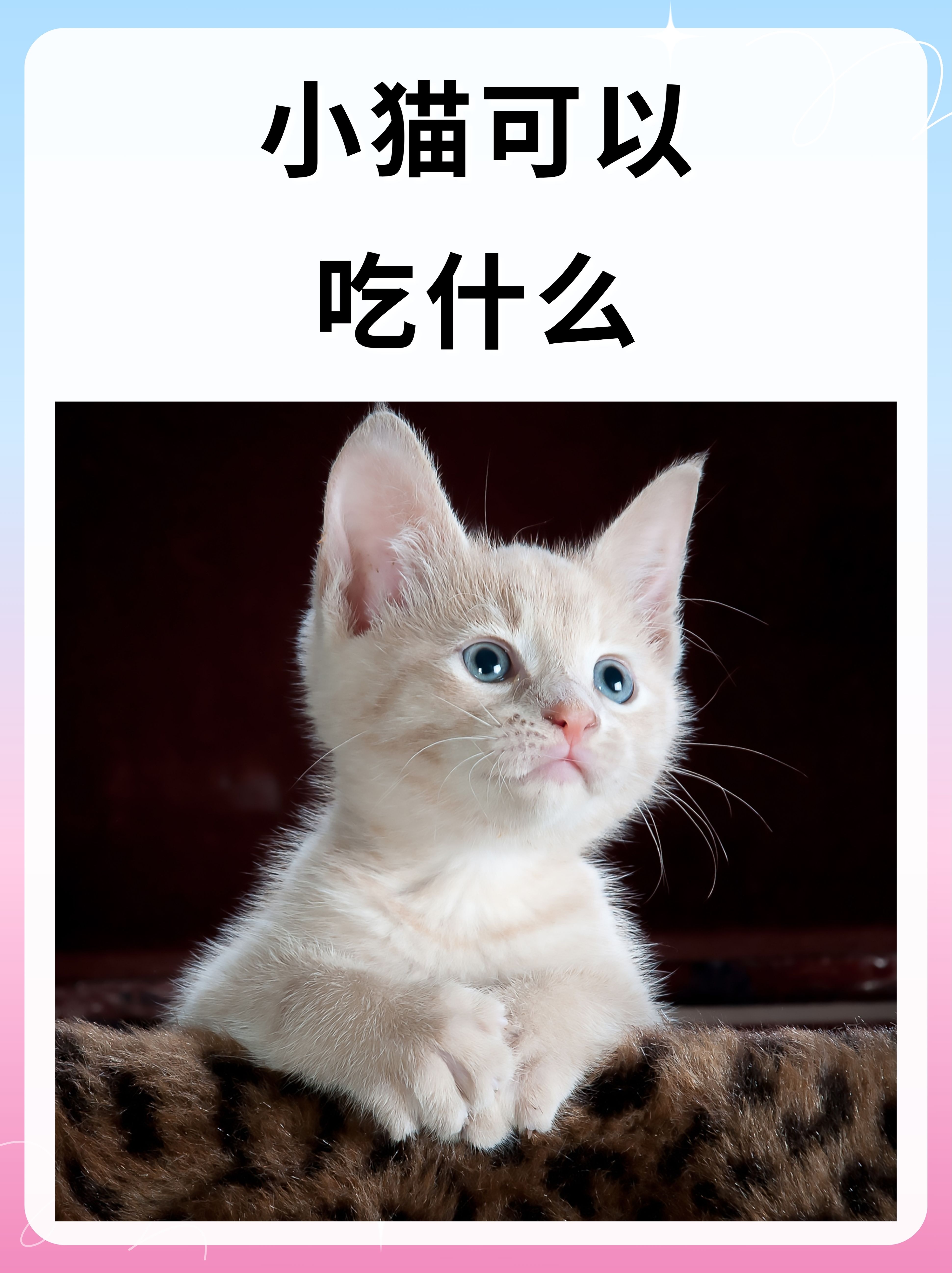 猫能吃韭菜吗(猫能吃韭菜和鸡蛋吗)
