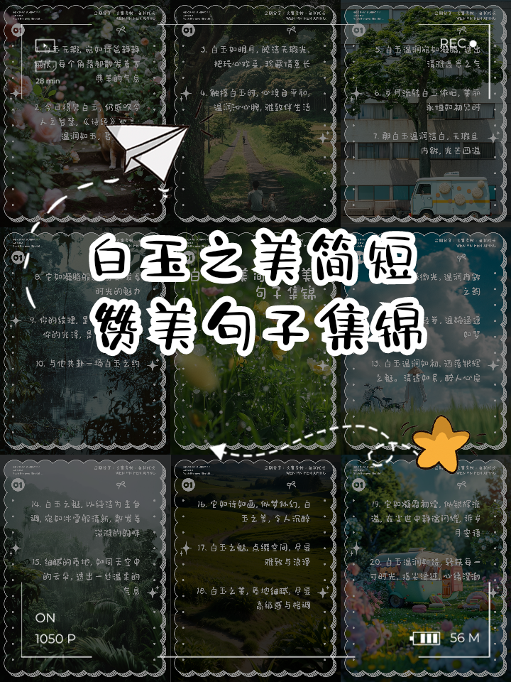 赞美文字之美的句子(关于赞美文字的唯美句子)