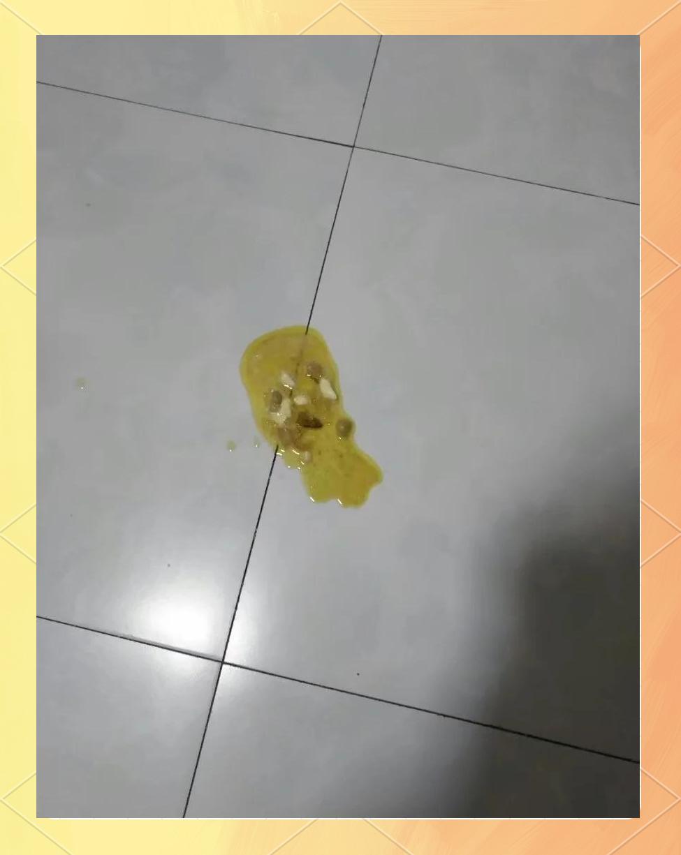 狗狗吐出了大量半消化的食物(狗狗吐出了大量半消化的食物需要吃什么药吗) 狗狗吐出了大量半消化的食物(狗狗吐出了大量半消化的食物需要吃什么药吗)