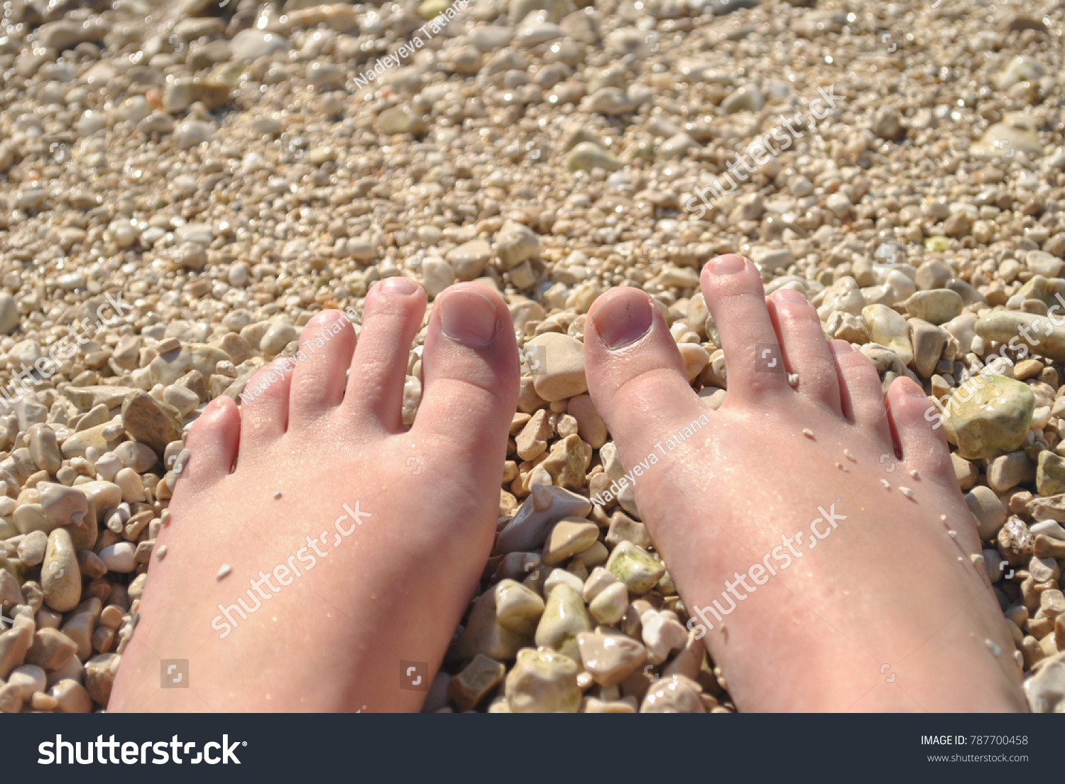 feet(feet发音) feet(feet发音)