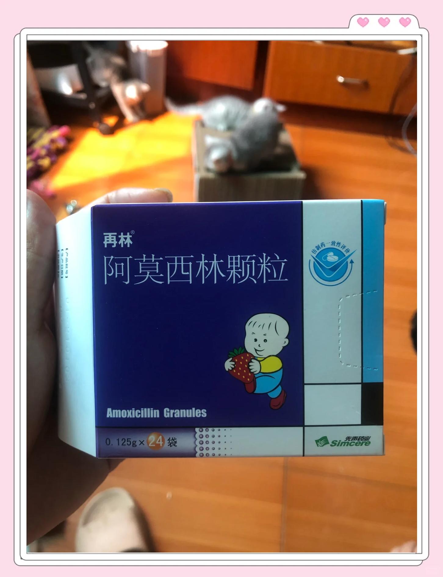 猫鼻支吃了5天阿莫西林(猫鼻支吃了5天阿莫西林好了) 猫鼻支吃了5天阿莫西林(猫鼻支吃了5天阿莫西林好了)