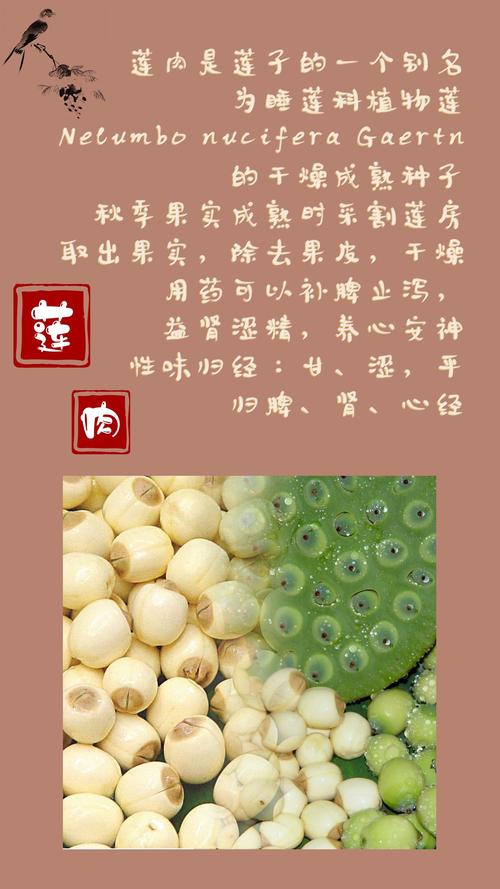 葵花盘的功效与作用(葵花盘的功效与作用及食用方法) 葵花盘的功效与作用(葵花盘的功效与作用及食用方法)