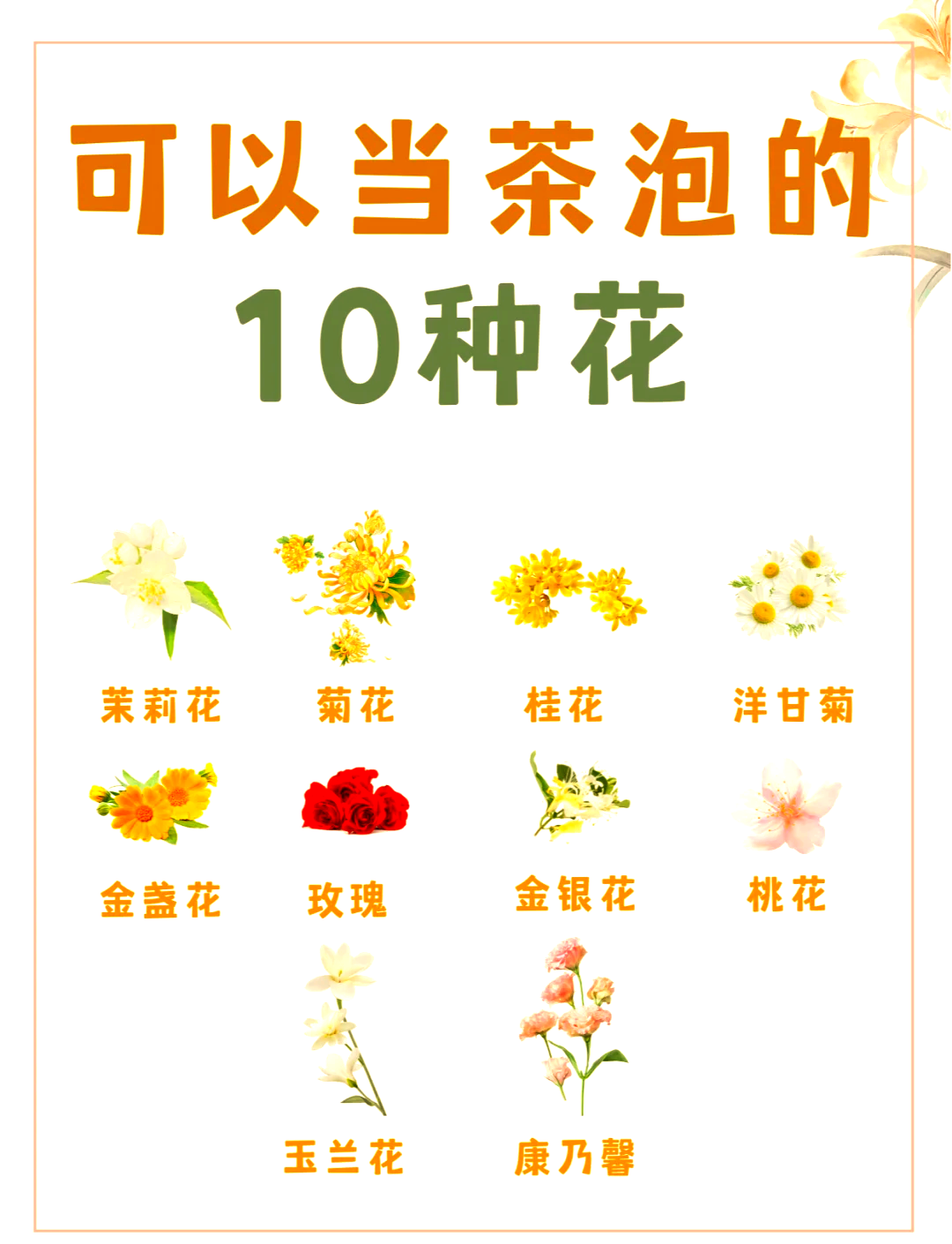 黄金花茶的功效与作用(黄金花的功效与作用机理)