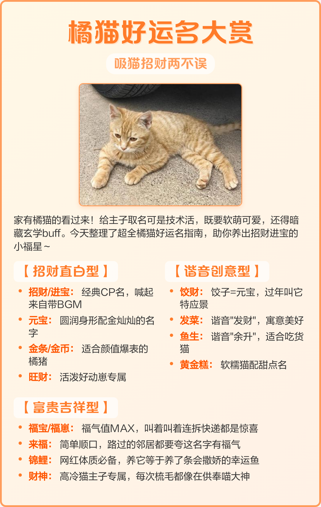 四大风水猫(四大风水名猫分别是什么)