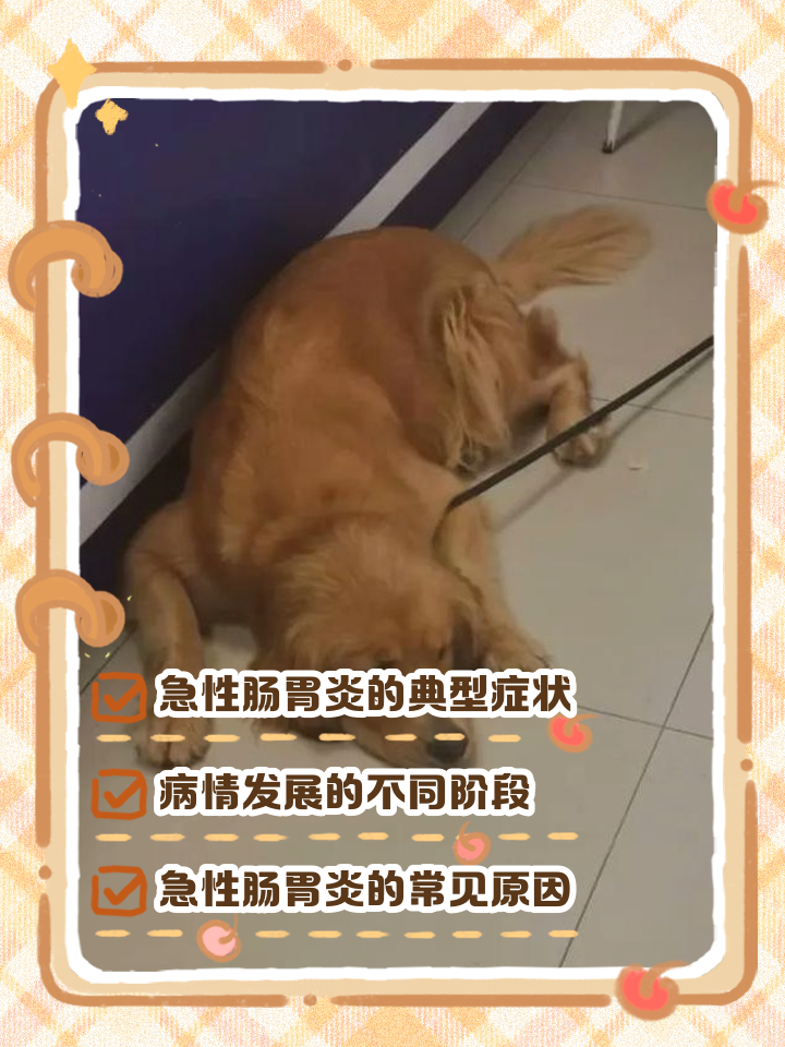 狗狗胰腺炎早期的五大症状(狗狗胰腺炎早期的五大症状是什么) 狗狗胰腺炎早期的五大症状(狗狗胰腺炎早期的五大症状是什么)