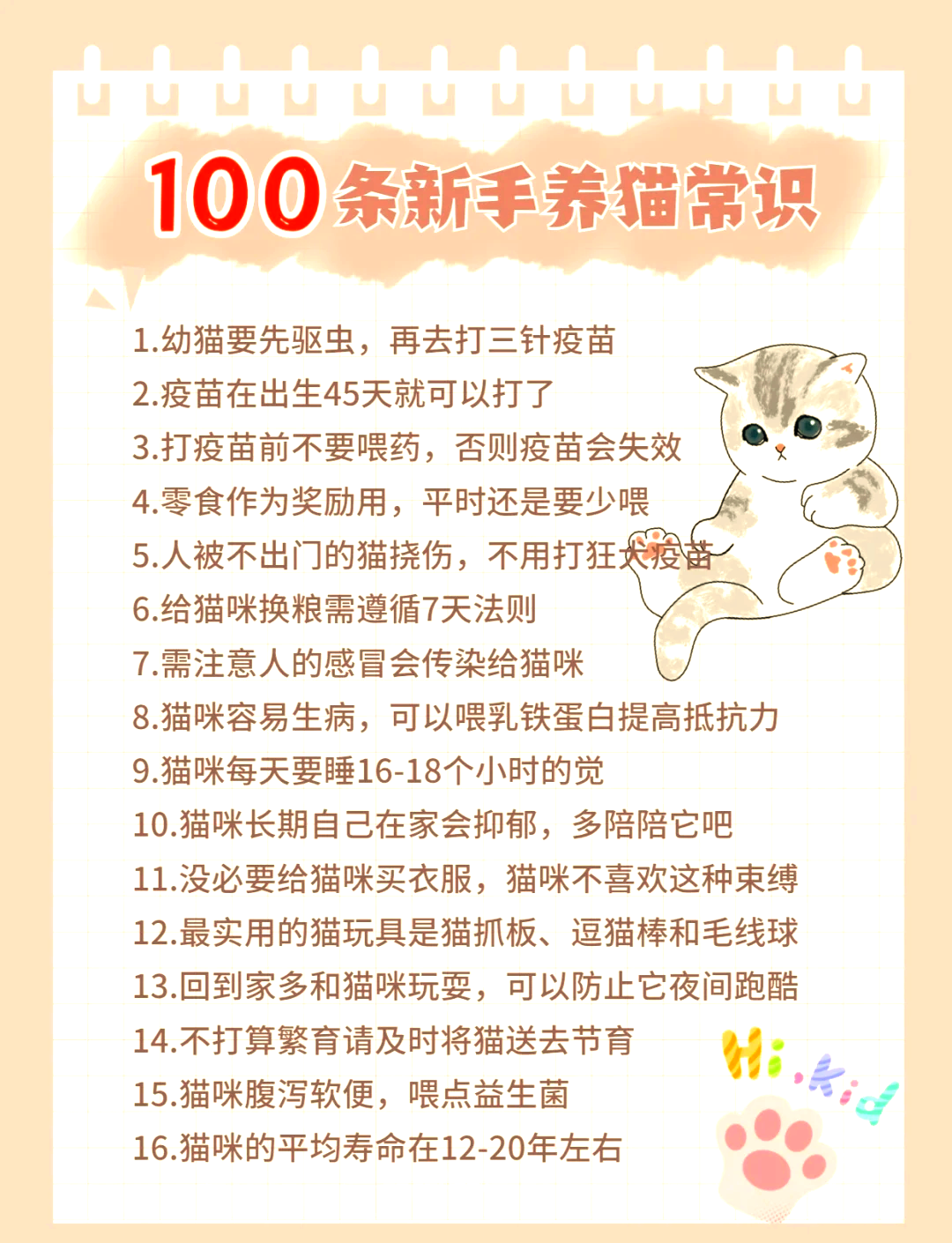 2个月的猫咪怎么喂养(二个月猫刚到新家该怎么照顾)