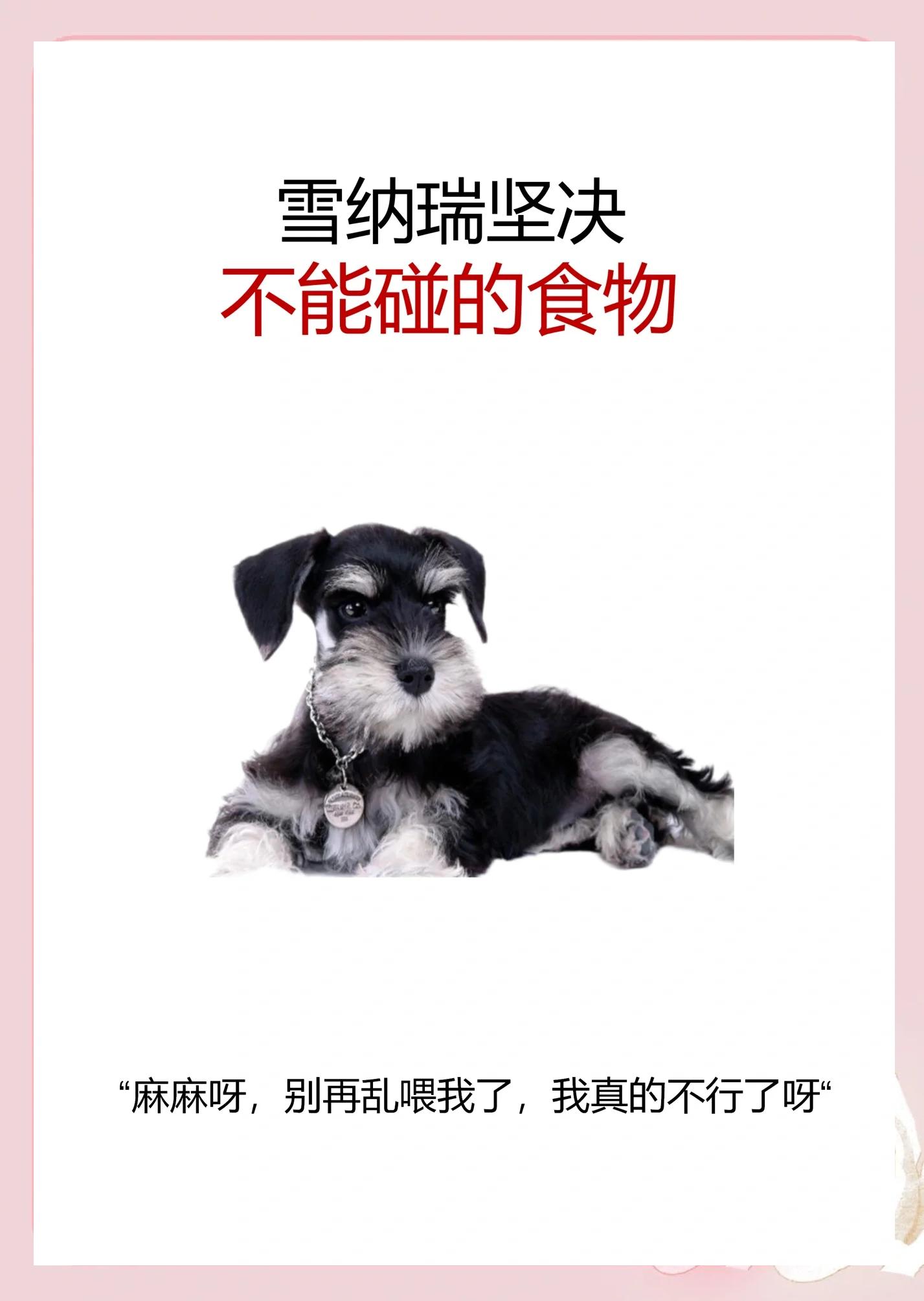 狗狗长期吃鸡胸肉的坏处(狗狗长期吃鸡胸肉的坏处有哪些) 狗狗长期吃鸡胸肉的坏处(狗狗长期吃鸡胸肉的坏处有哪些)