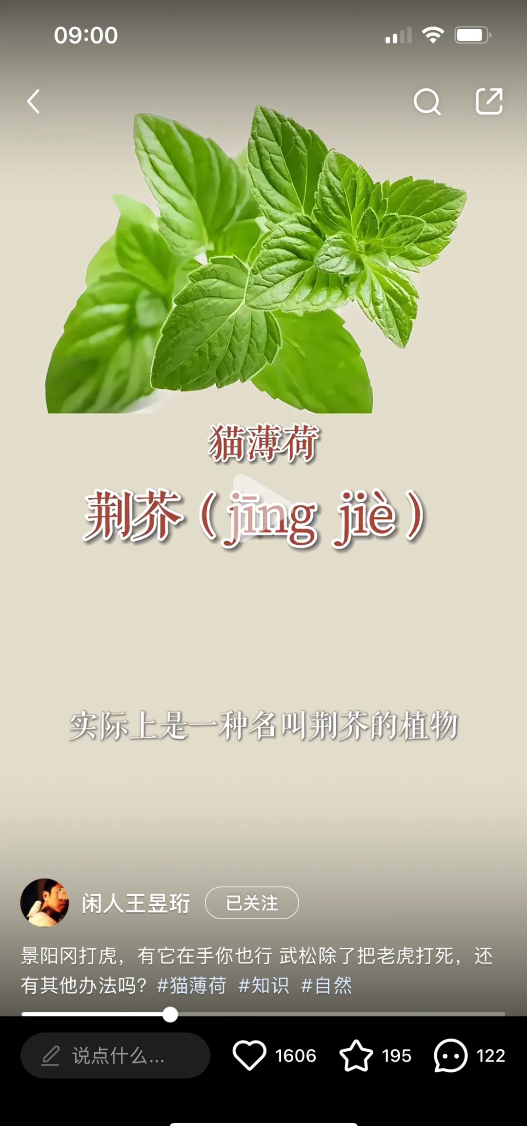 薄荷对猫有危害么(薄荷对于猫咪到底有什么用) 薄荷对猫有危害么(薄荷对于猫咪到底有什么用)