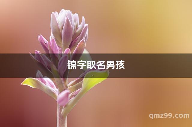 锦字取名禁忌(锦字取名禁忌大全)