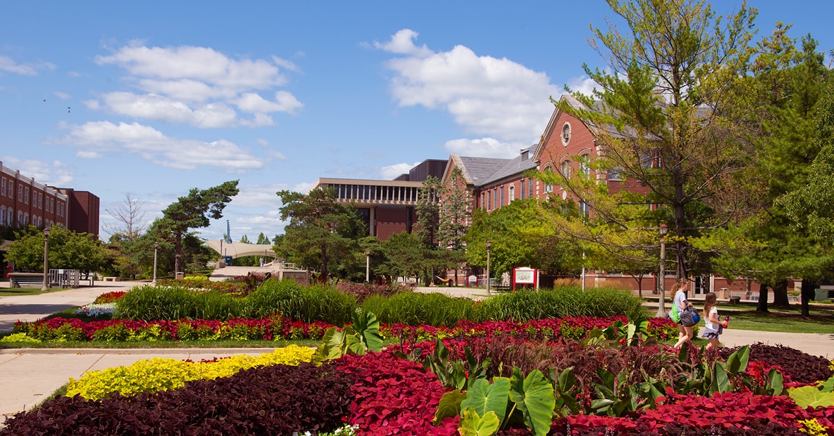 美国伊利诺伊大学(美国伊利诺伊大学在哪个城市)