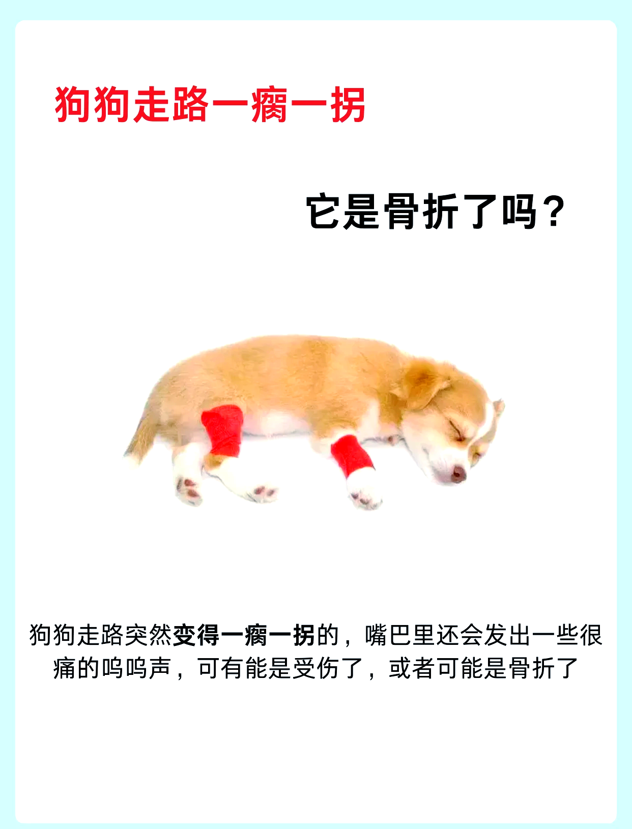 狗狗脚一瘸一拐怎么回事(狗狗脚一瘸一拐怎么回事没有外伤)