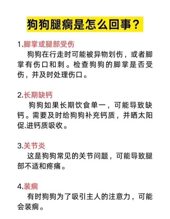 狗狗脚一瘸一拐怎么回事(狗狗脚一瘸一拐怎么回事没有外伤) 狗狗脚一瘸一拐怎么回事(狗狗脚一瘸一拐怎么回事没有外伤)