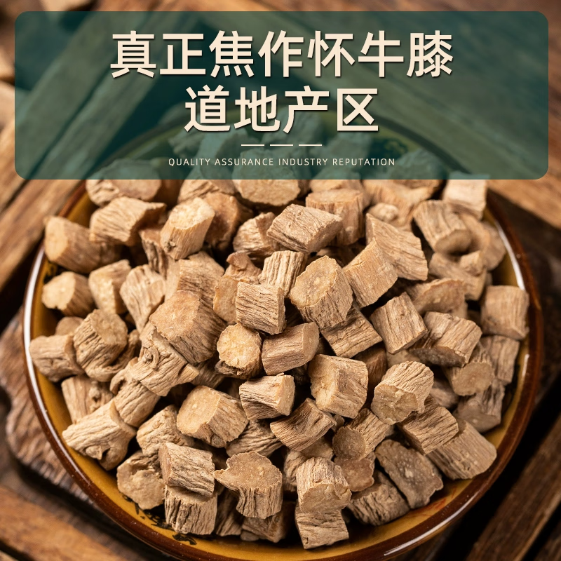 牛膝泡水喝的功效(肉桂牛膝泡水喝的功效)