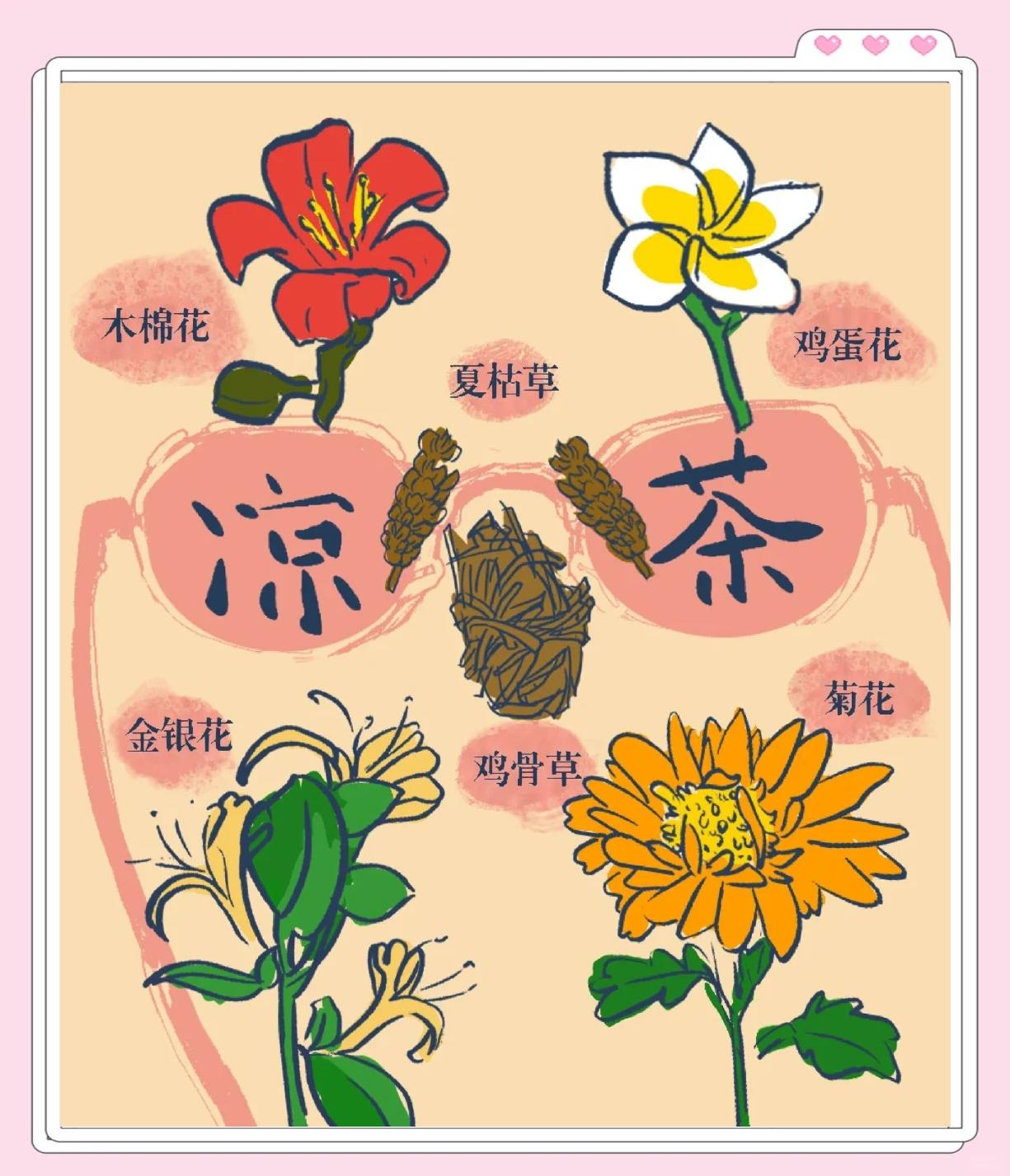 广东正宗二十四味凉茶配方(广东正宗二十四味凉茶配方克数)