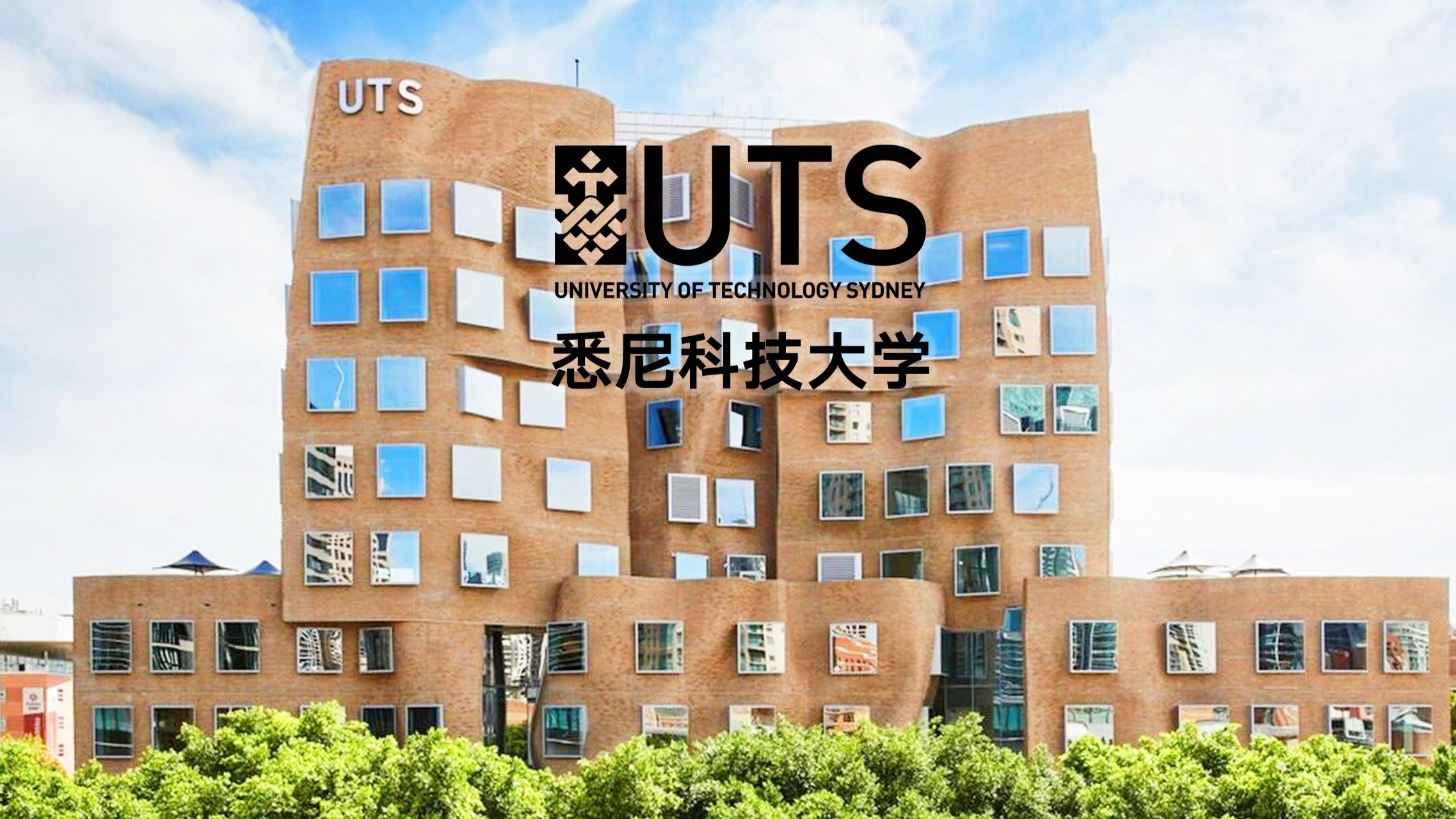 uts大学世界排名(uts university)