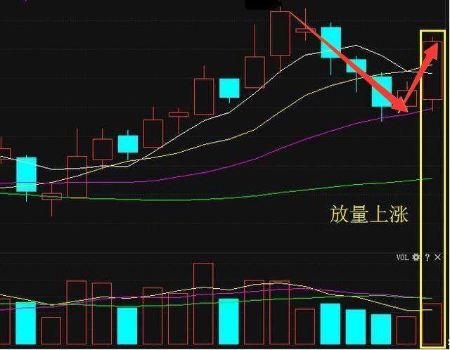 浪潮信息股票股吧(浪潮信息股票股吧最新消息)