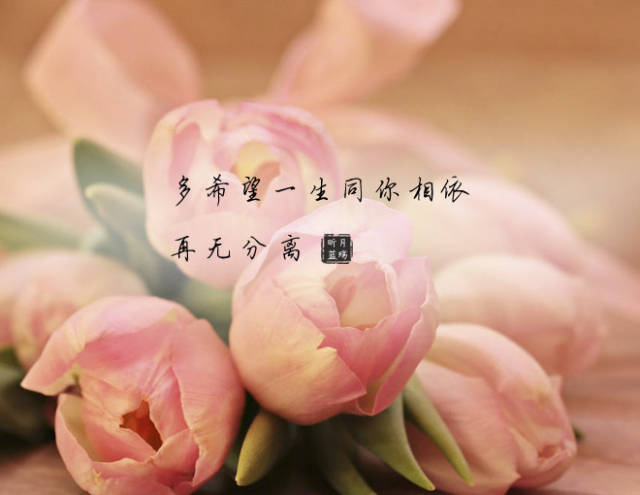 打搅和打扰的区别(打搅和打扰的区别和联系)