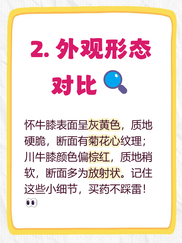 牛膝的毒性对肝肾损害(牛膝的毒性对肝肾损害有多大) 牛膝的毒性对肝肾损害(牛膝的毒性对肝肾损害有多大)