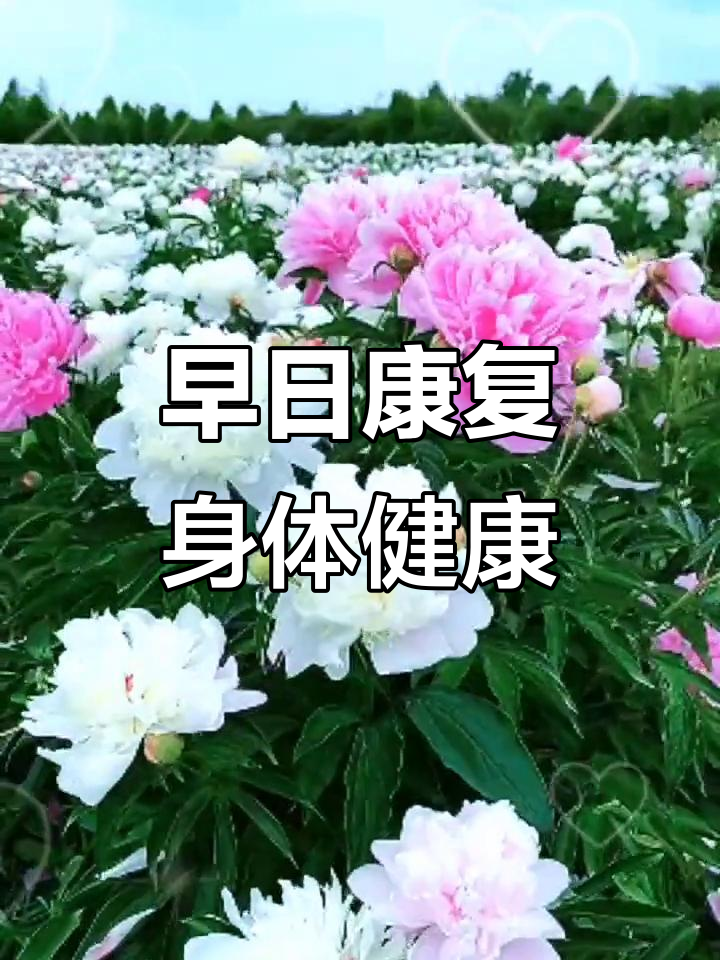 健康图片带字图片(身体健康图片带字图片)