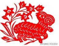 花天酒地打一准确生肖(花天酒地打个动物打生肖)