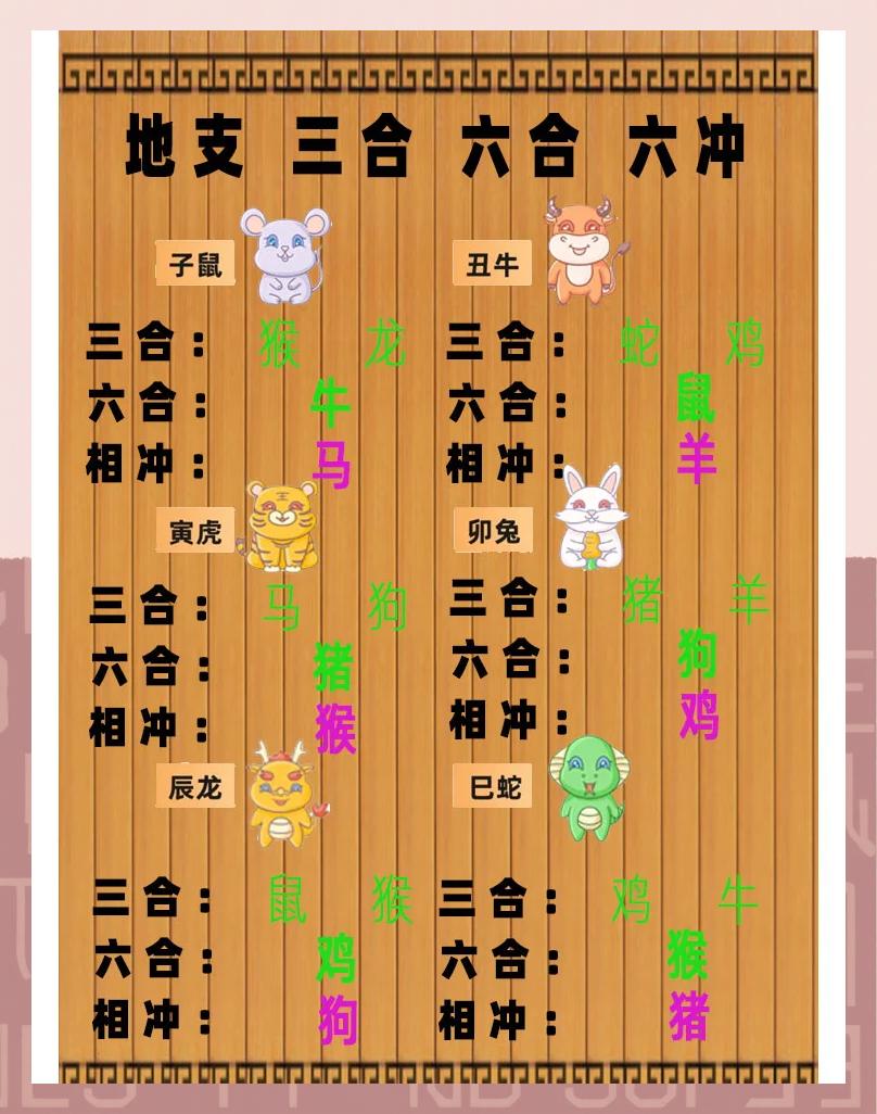 属蛇和属鸡的合不合(属蛇和属鸡的合不合得来)
