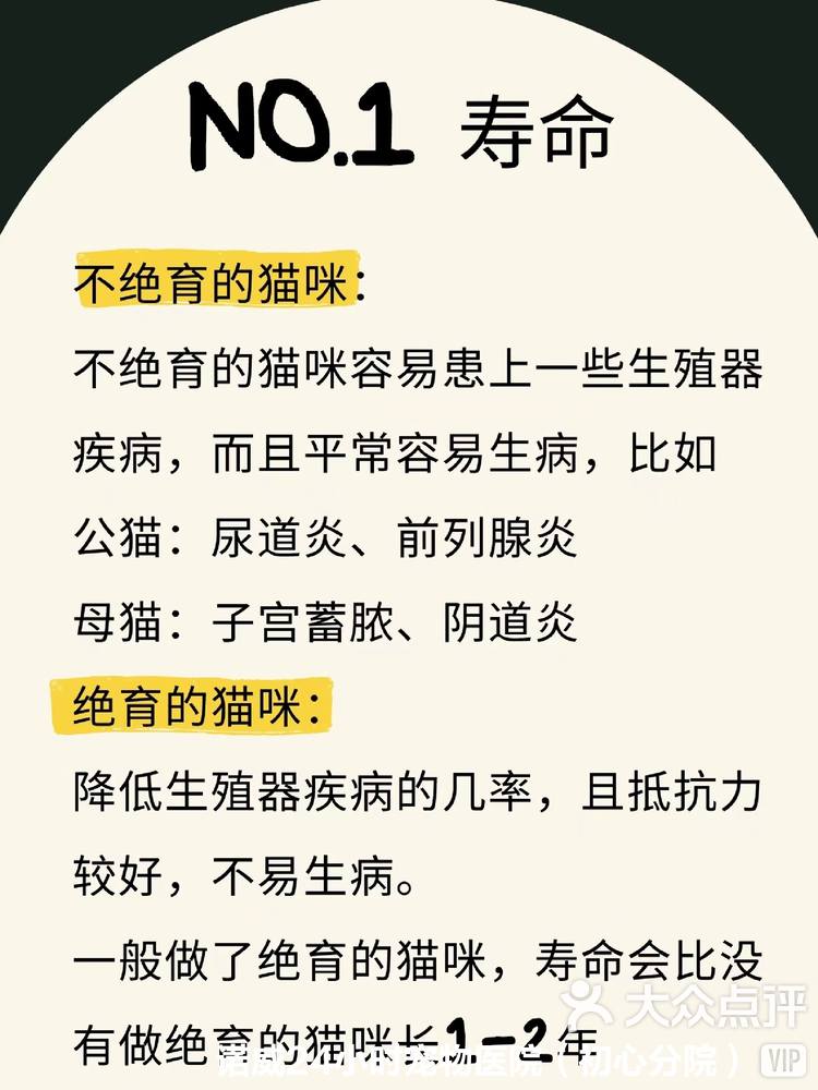 母猫做绝育的好处和坏处(母猫可不可以一辈子不绝育)