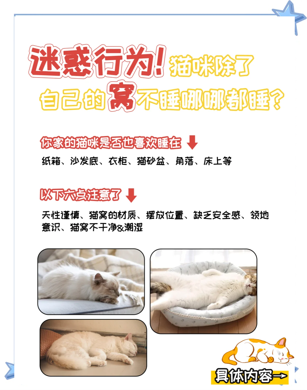 幼猫没驱虫可以睡床上吗(小猫没驱虫没打针可以放室内养吗)