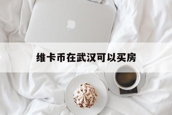 维卡币在武汉可以买房(维卡币可以买车买房是真的吗) 维卡币在武汉可以买房(维卡币可以买车买房是真的吗)