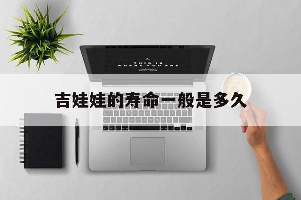 吉娃娃的寿命一般是多久(吉娃娃狗的寿命大约是多少年) 吉娃娃的寿命一般是多久(吉娃娃狗的寿命大约是多少年)