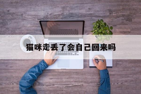 猫咪走丢了会自己回来吗(绝育的猫咪走丢了会自己回来吗) 猫咪走丢了会自己回来吗(绝育的猫咪走丢了会自己回来吗)