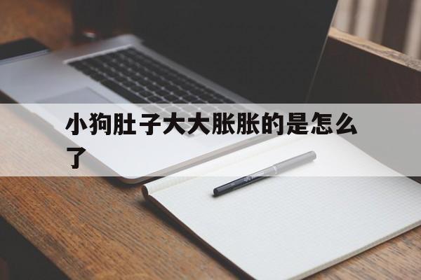 小狗肚子大大胀胀的是怎么了(小狗肚子大大胀胀的是怎么了呢) 小狗肚子大大胀胀的是怎么了(小狗肚子大大胀胀的是怎么了呢)