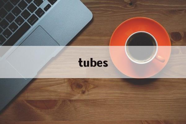 tubes(tubes的音标)