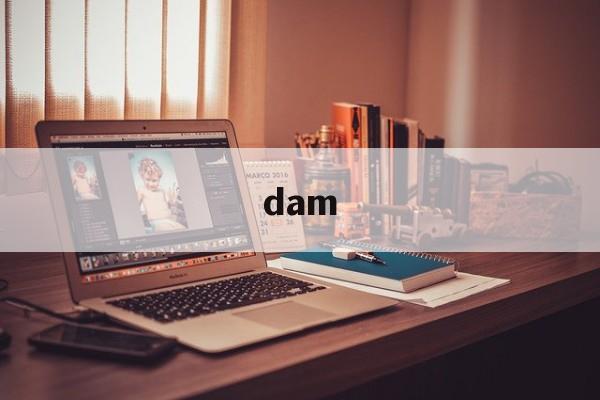 dam(大梦归离)