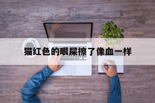 猫红色的眼屎擦了像血一样(猫红色的眼屎擦了像血一样正常吗)
