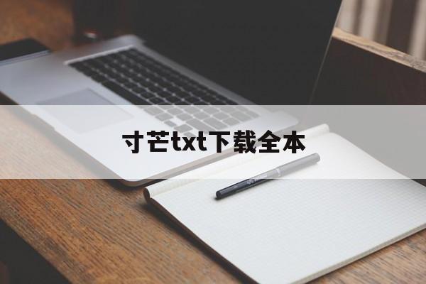 寸芒txt下载全本(寸芒txt下载全本下载)